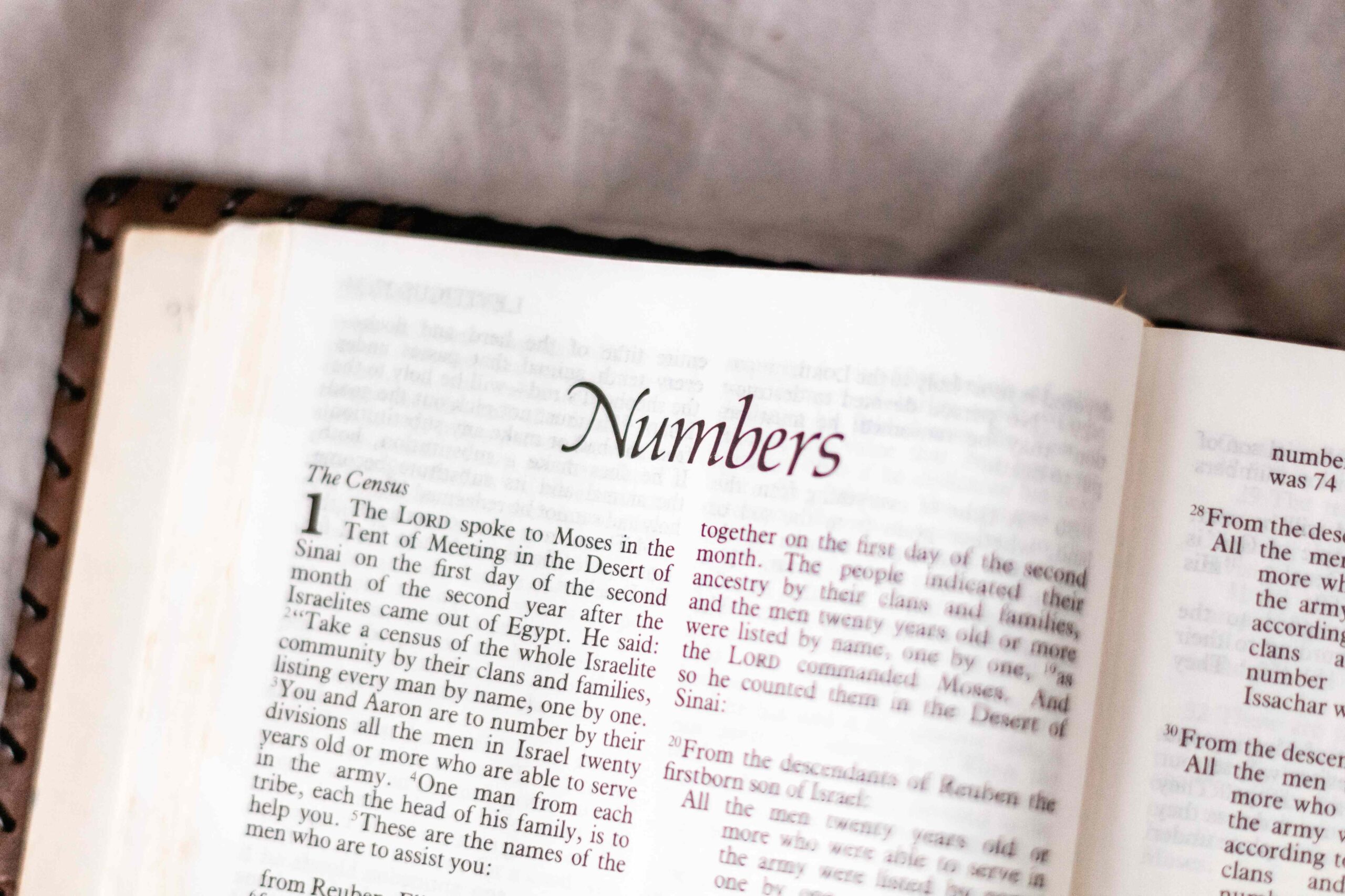 Daily Lectionary 06/15/2025