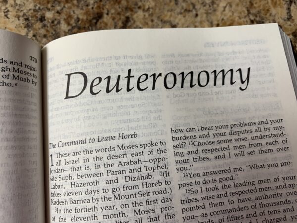 Daily Lectionary 11/01/2025